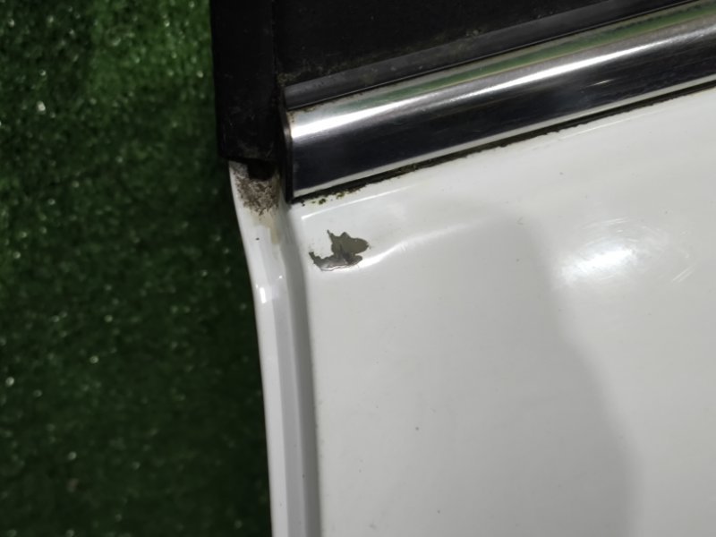 Дверь задняя левая H6 2019 GW4G15B