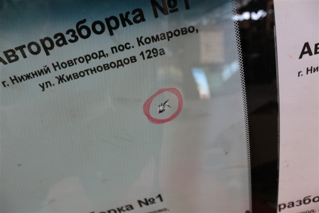 Стекло лобовое lx600 300