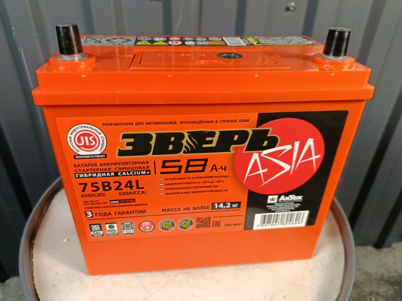 Аккумулятор Зверь Asia 58 (B24) левый Аккумулятор Зверь Asia 58 (B24) левый