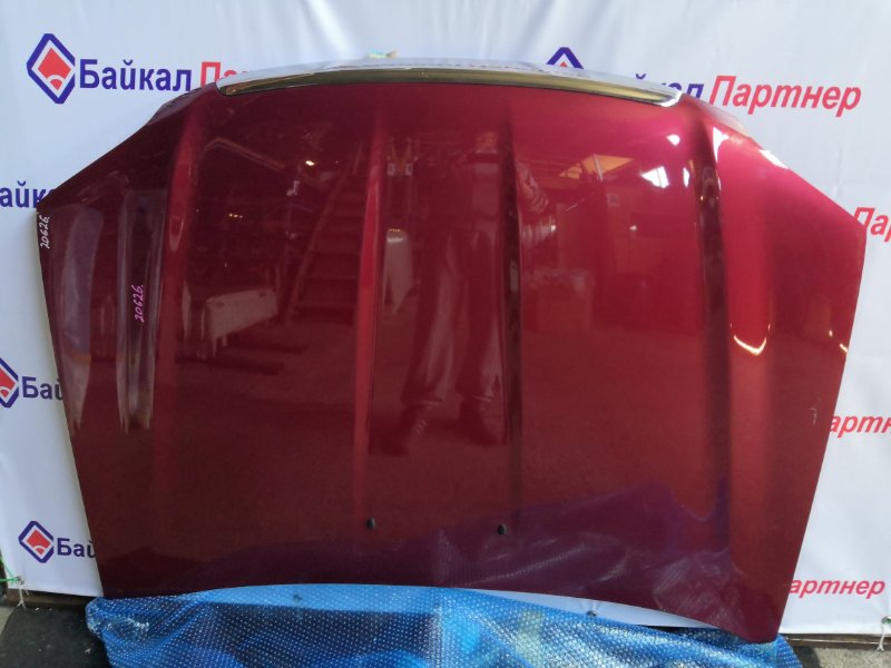 Капот Ford Escape EP3WF передний
