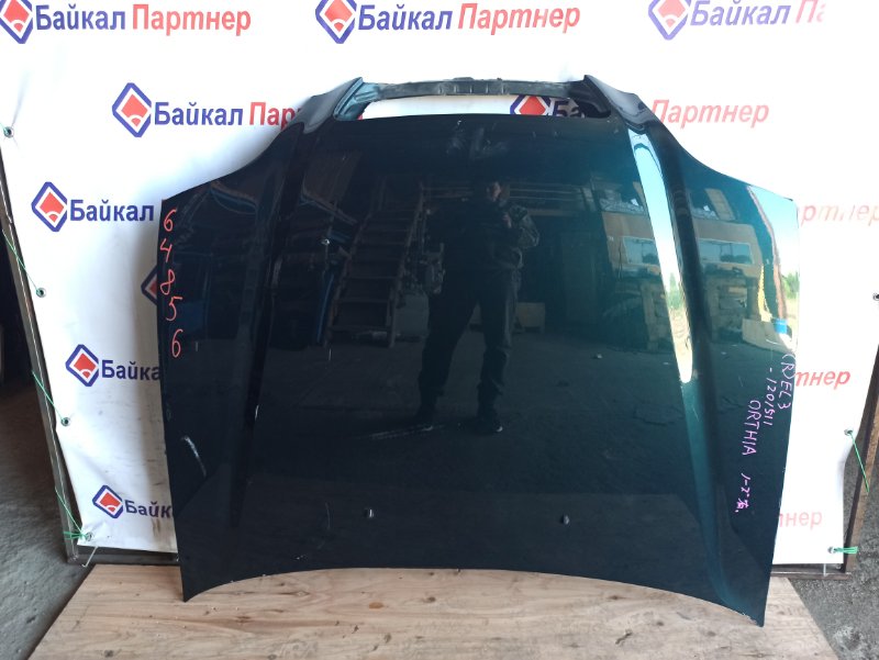 Капот Honda Orthia EL3 B20B Капот Honda Orthia EL3 B20B