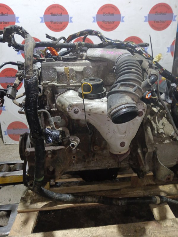 Двигатель Nissan Vanette SK82MN F8 1999
