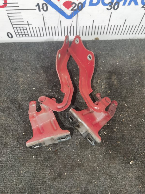 Петли капота NISSAN X-TRAIL NT31 MR20DE 2009 (б/у)