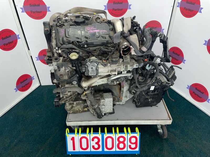 Двигатель NISSAN X-TRAIL DNT31 M9R 2010 (б/у)