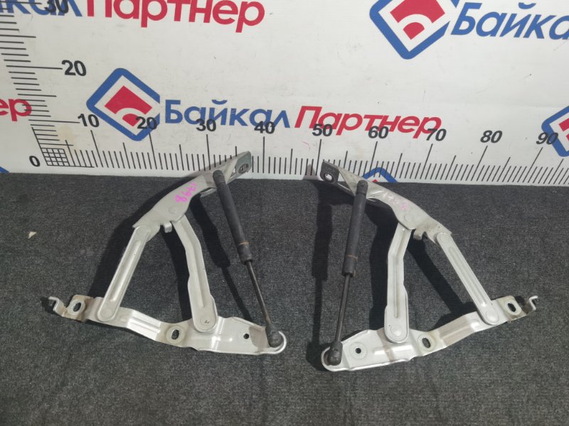 Петли капота AUDI TT 8N3 AUQ 2003 передние (б/у)
