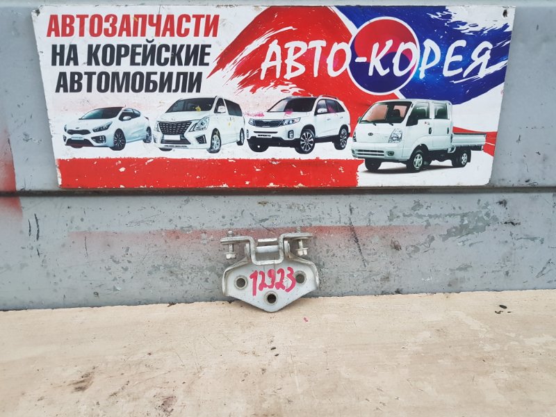 Петля двери Hyundai Porter 2 2004 передняя правая