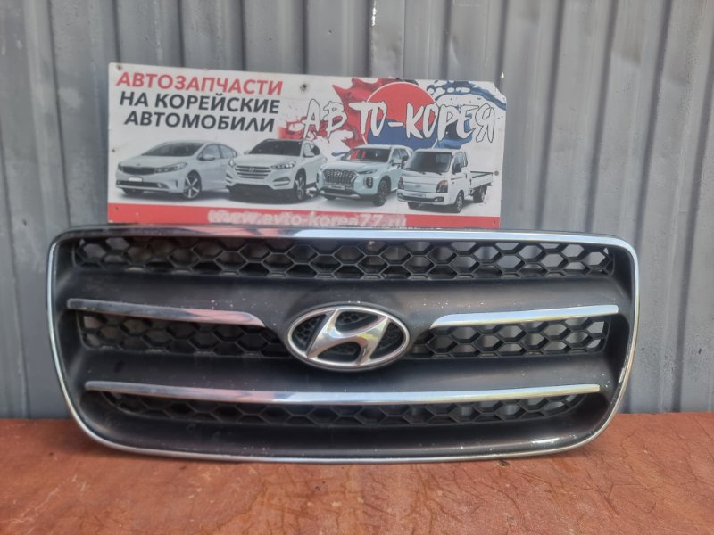 Решетка в бампер Hyundai Santa Fe 2006 передняя