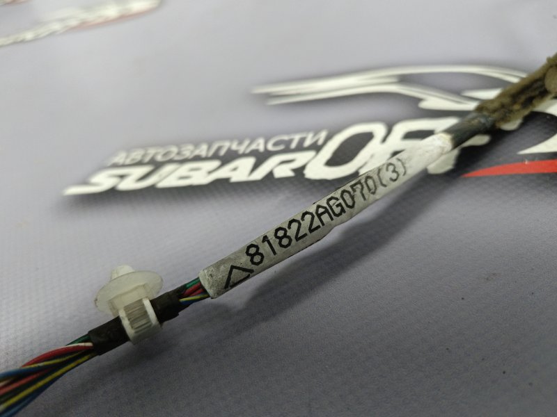 Проводка двери задняя левая Legacy 2008 BP5 EJ203