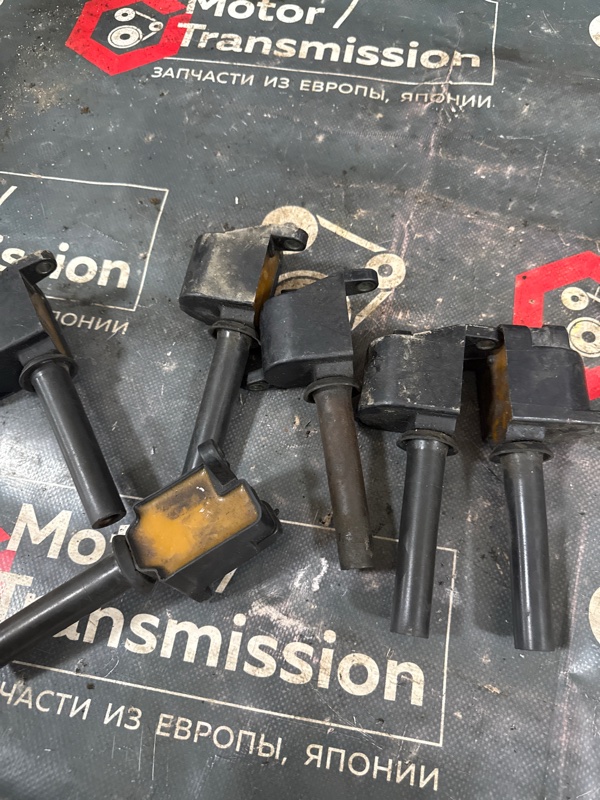 Катушка зажигания Magnus 2002 x20d1