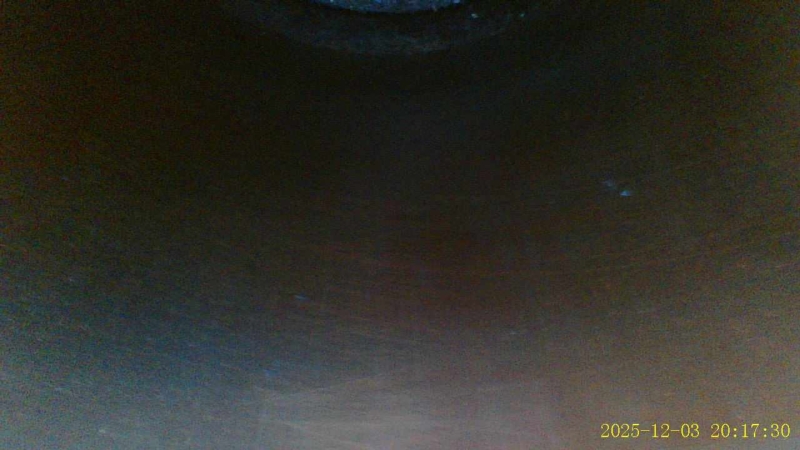 Двигатель Bluebird Sylphy 2001 G10 QG18DE