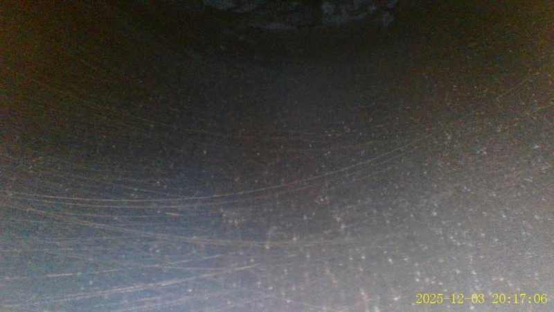 Двигатель Bluebird Sylphy 2001 G10 QG18DE