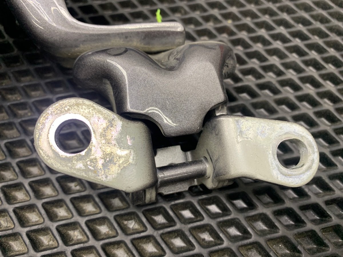 Петля двери задняя левая Santa Fe 2019 TM D4HB