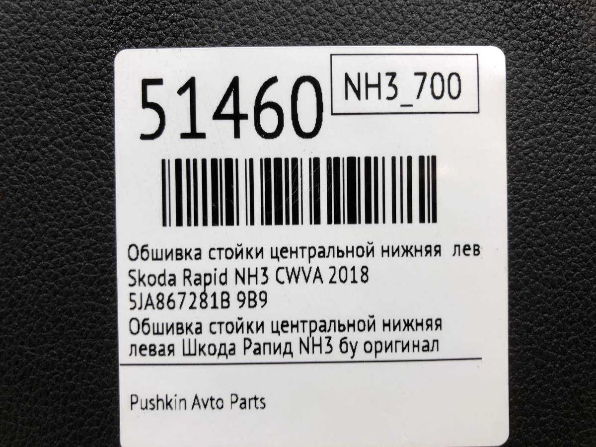 Обшивка стойки центральной нижняя левая Rapid 2018 NH3 CWVA