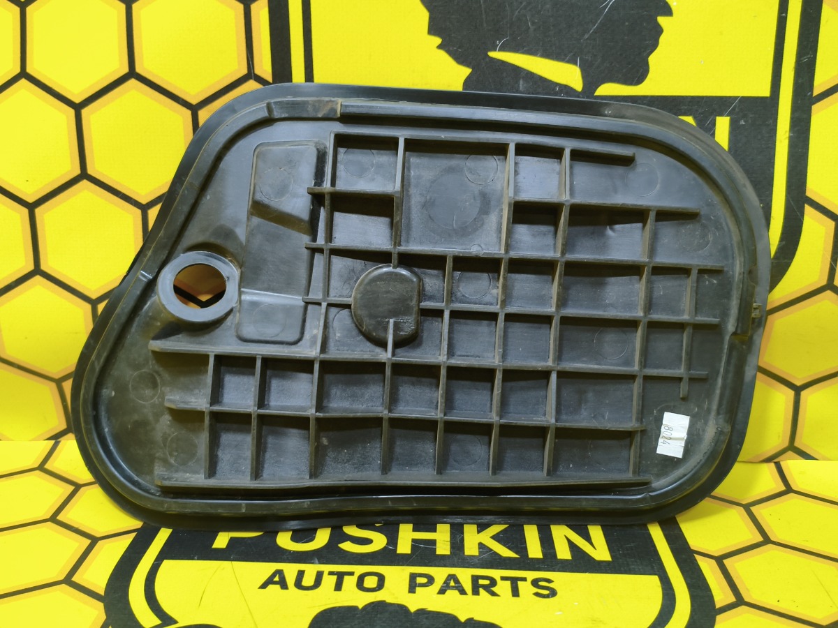 Заглушка двери передняя левая Rapid 2019 NH3 CWVA