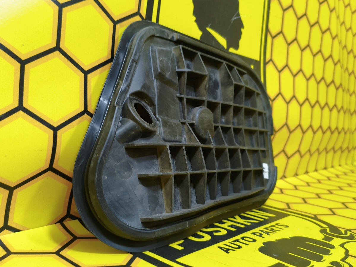 Заглушка двери передняя левая Rapid 2019 NH3 CWVA