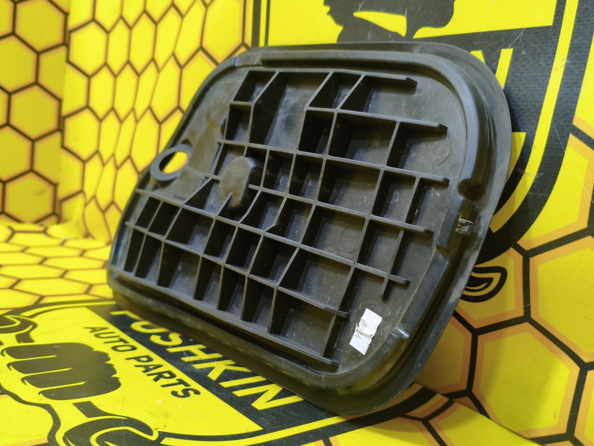 Заглушка двери передняя левая Rapid 2019 NH3 CWVA