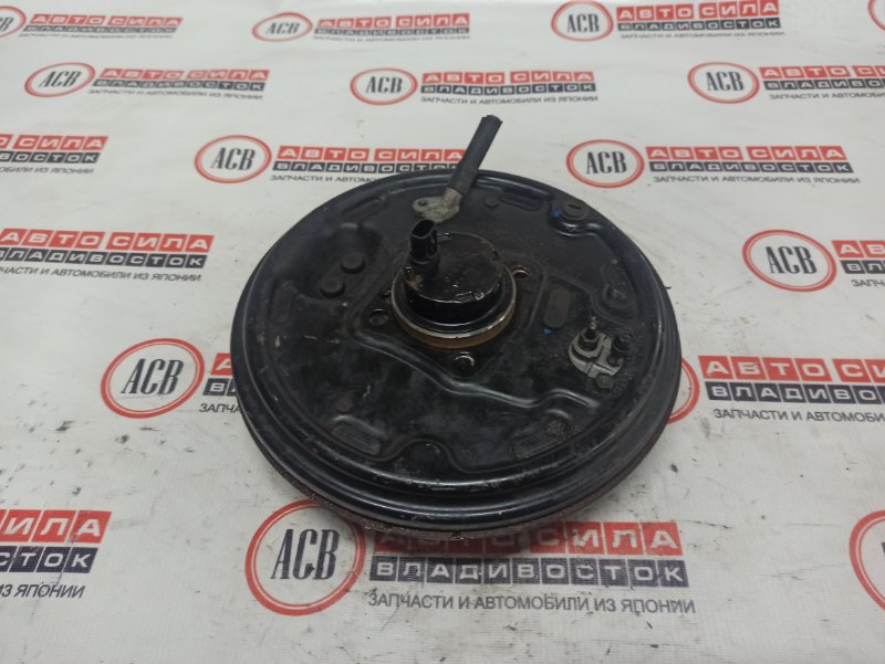 Ступица задняя правая PROBOX NCP51