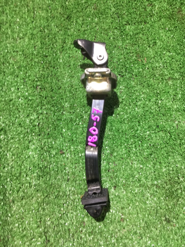 Ограничитель двери задний левый Insight 2009 ZE2 LDA Ограничитель двери задний левый Insight 2009 ZE2 LDA