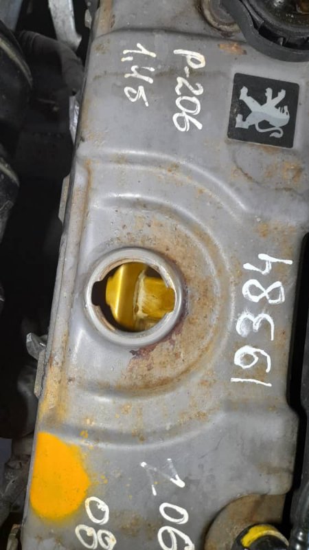 Двигатель 206 KFW