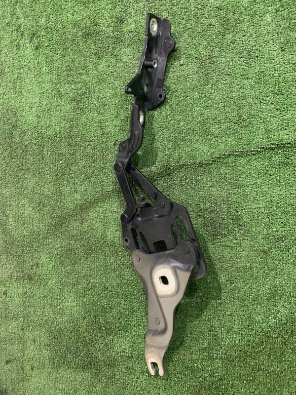 Петля капота правая BMW X6 2013 N63B44A 714834811 Б/У