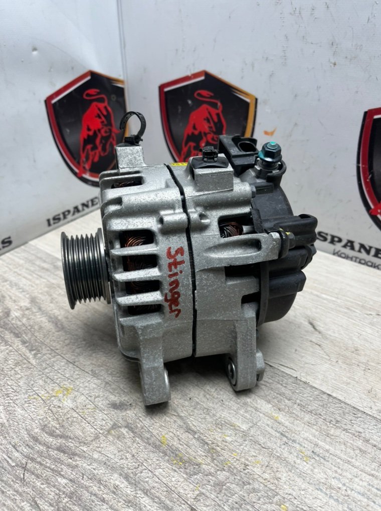 Генератор Stinger 2021 CK 3.3T