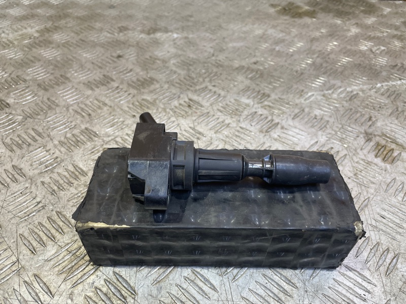 Катушка зажигания Sportage 2020 4 2.4 GDi G4KJ