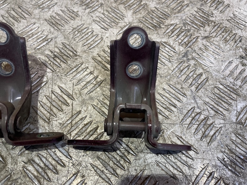 Петля двери передняя правая Optima 2017 4 2.4 GDi G4KJ