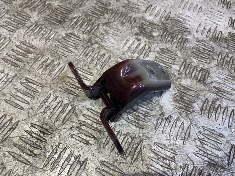 Петля двери передняя правая Optima 2017 4 2.4 GDi G4KJ