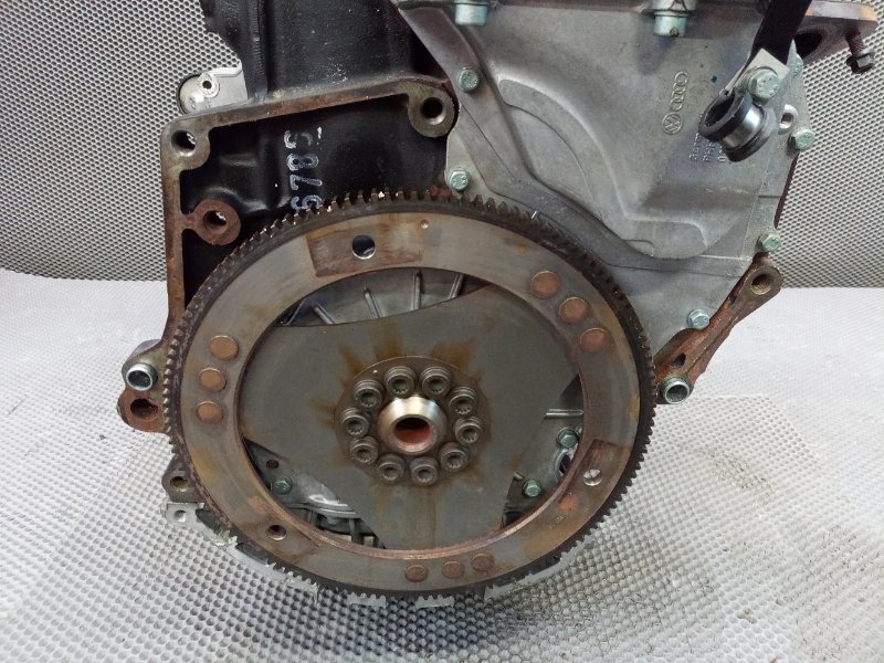 Двигатель Cayenne 2005 955 (9PA) M022Y (3.2 BFD)