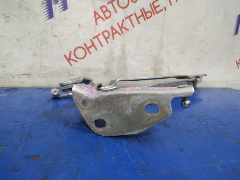 Петля крышки багажника задняя правая A8 2000 4D2 AQF