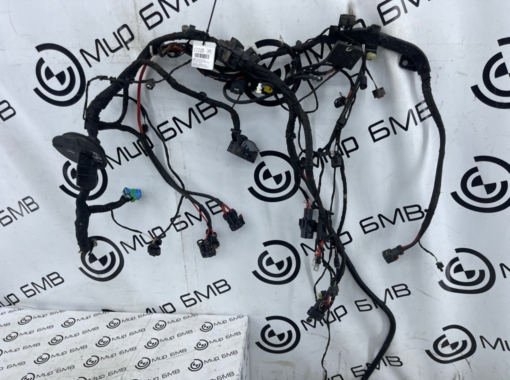 Проводка кузова передняя правая BMW X5 xDrive50e 2024 G05 B58B30S 61125A90236 Б/У