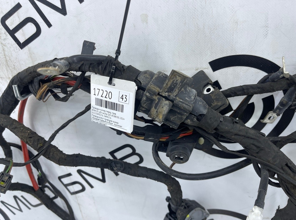 Проводка кузова передняя правая BMW X5 xDrive50e G05 B58B30S