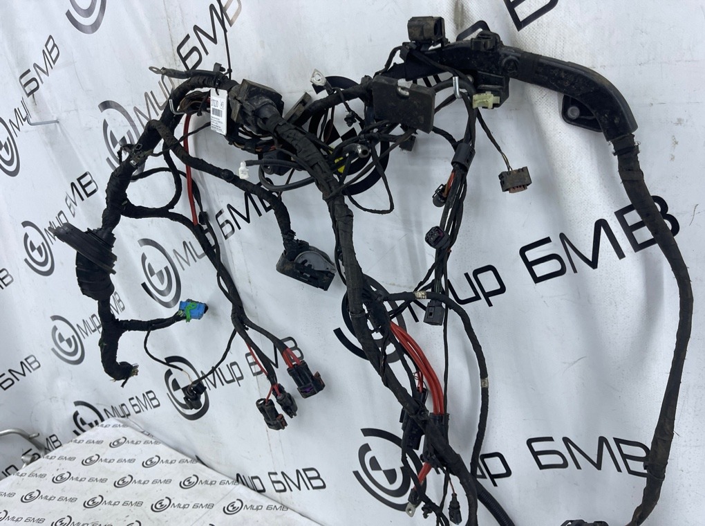Проводка кузова передняя правая X5 xDrive50e 2024 G05 B58B30S