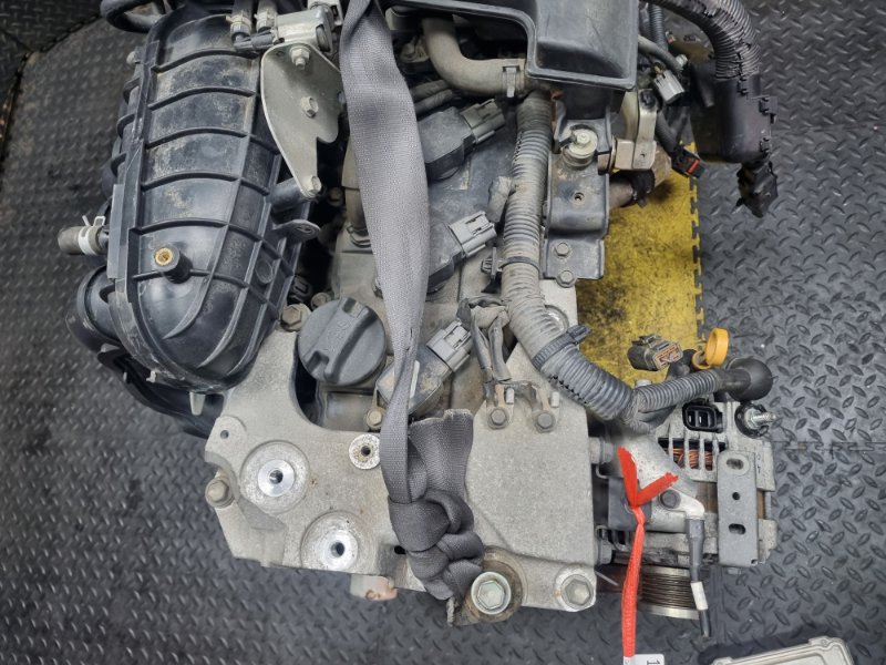 ДВС X-TRAIL 2007 TNT31 QR25-DE
