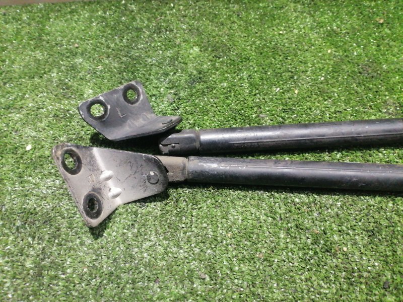 Амортизатор капота Daewoo Winstorm KLAC Z20S1 Амортизатор капота Daewoo Winstorm KLAC Z20S1