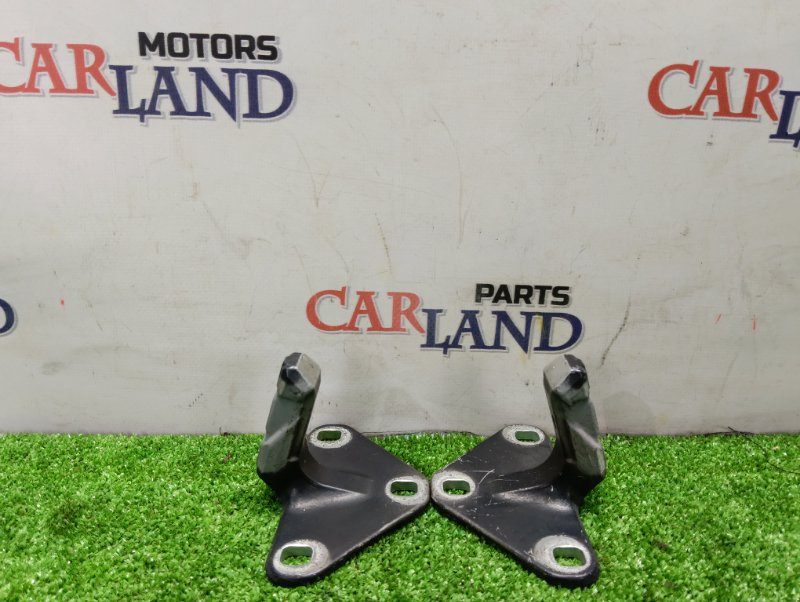 Петля двери багажника BMW X5 E70 M57N2 Петля двери багажника BMW X5 E70 M57N2