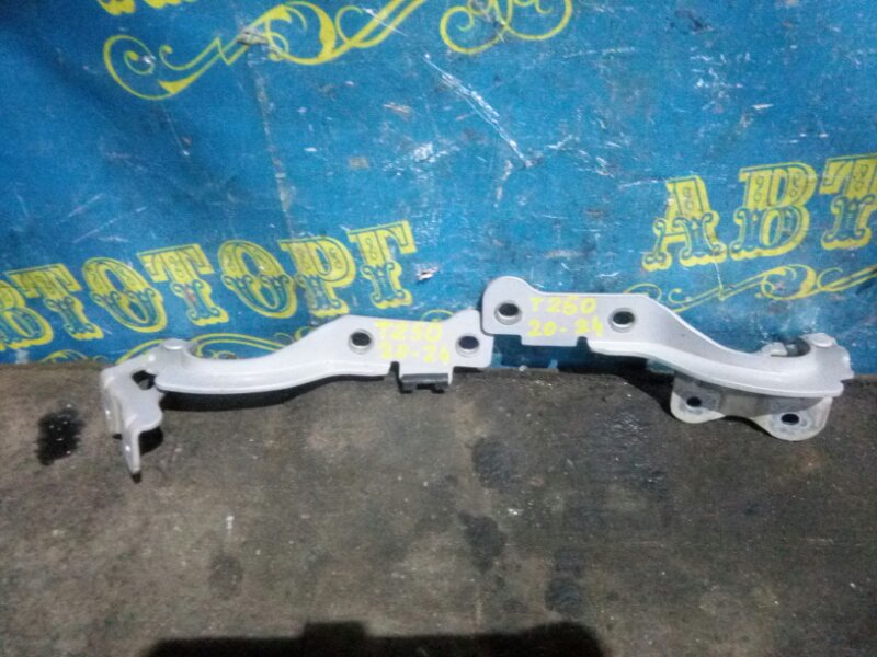 Петля капота Chevrolet Aveo T250 B12D1 2009