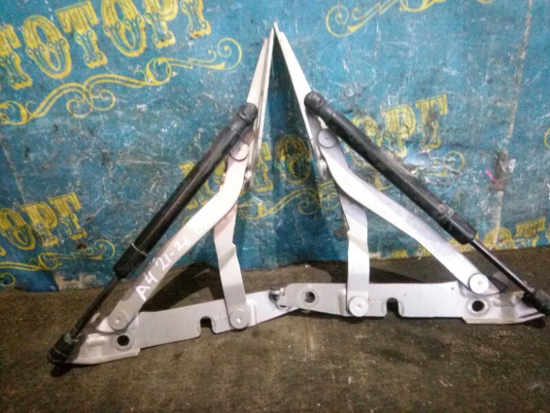 Петля крышки багажника Audi A4 8EC BFB 2004
