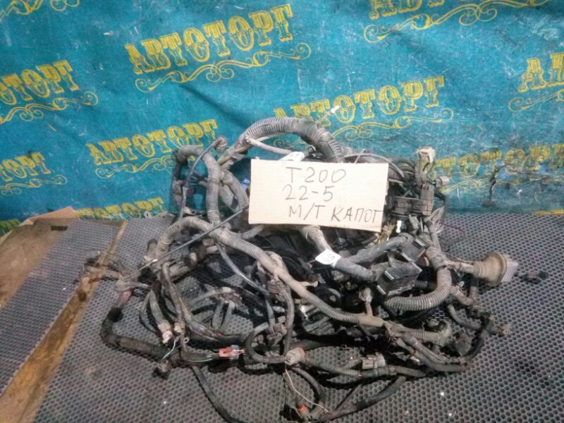 Проводка под капотная Chevrolet Aveo T200 F14D3 2006
