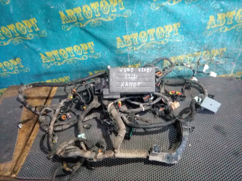 Проводка под капотная Chevrolet Epica V250 X20D1 2011