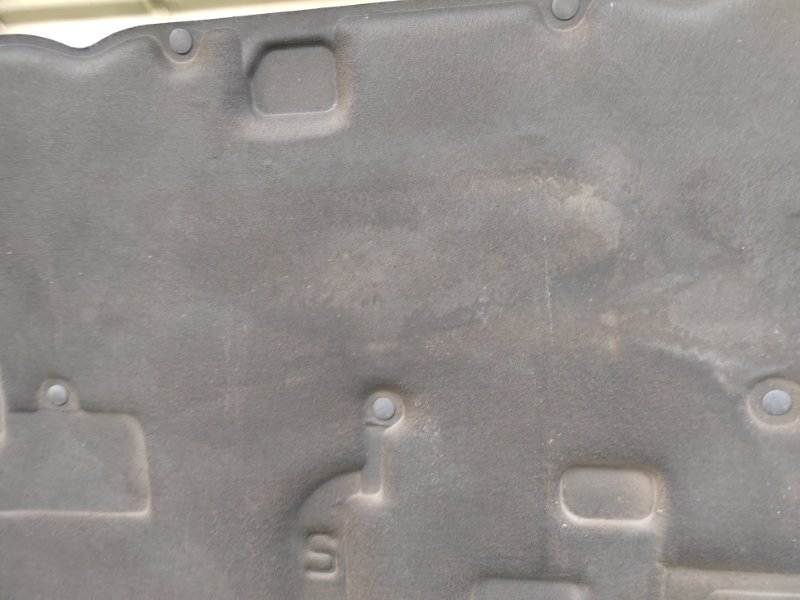 Капот передний Land Cruiser 2005 UZJ100 2UZ