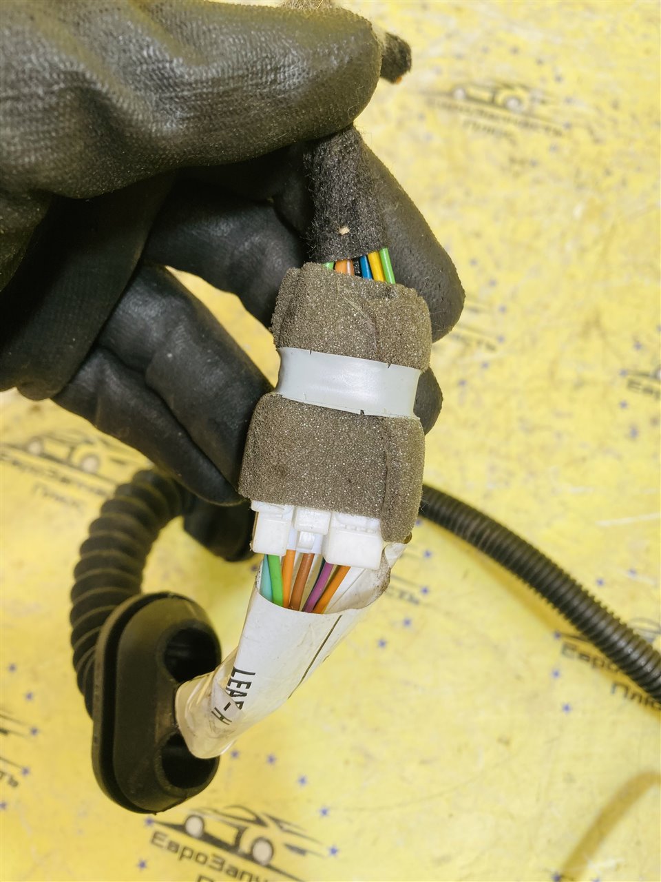 Проводка двери задняя Qashqai J10