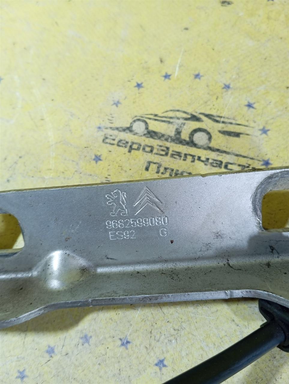 Петли капота передние левые Peugeot 3008