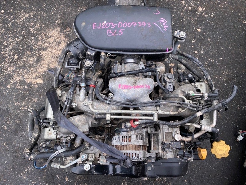 Двигатель Subaru Legacy BL5 EJ203 2006 (б/у)