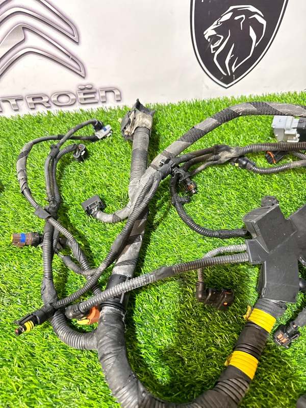 Проводка двигателя коса жгут проводов DUCATO 2018 290 EURO 6 2 Проводка двигателя коса жгут проводов DUCATO 2018 290 EURO 6 2