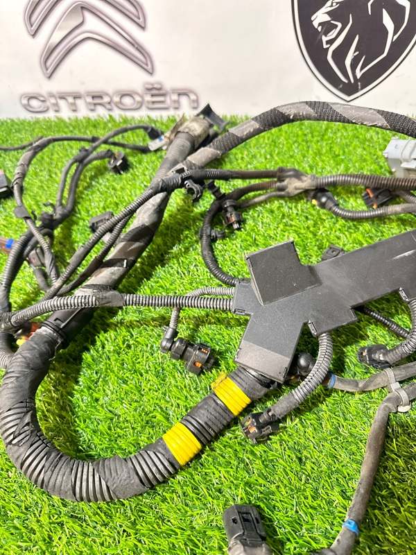 Проводка двигателя коса жгут проводов DUCATO 2018 290 EURO 6 2 Проводка двигателя коса жгут проводов DUCATO 2018 290 EURO 6 2