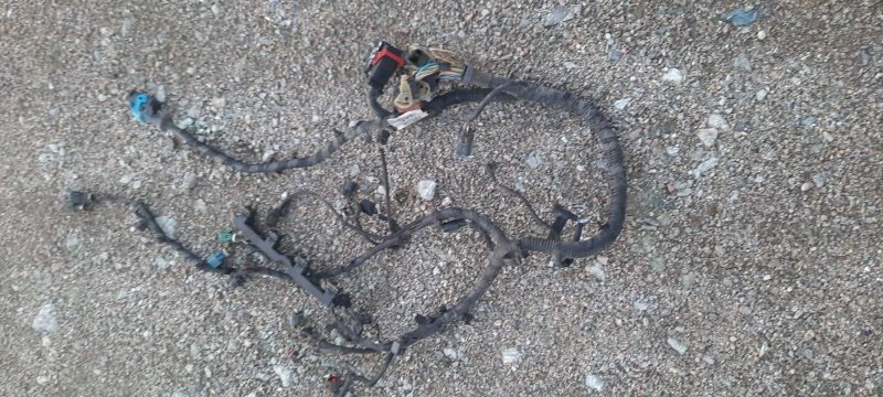 Проводка двигателя FORD FOCUS 3 MK3 PNDA 2010 (б/у)