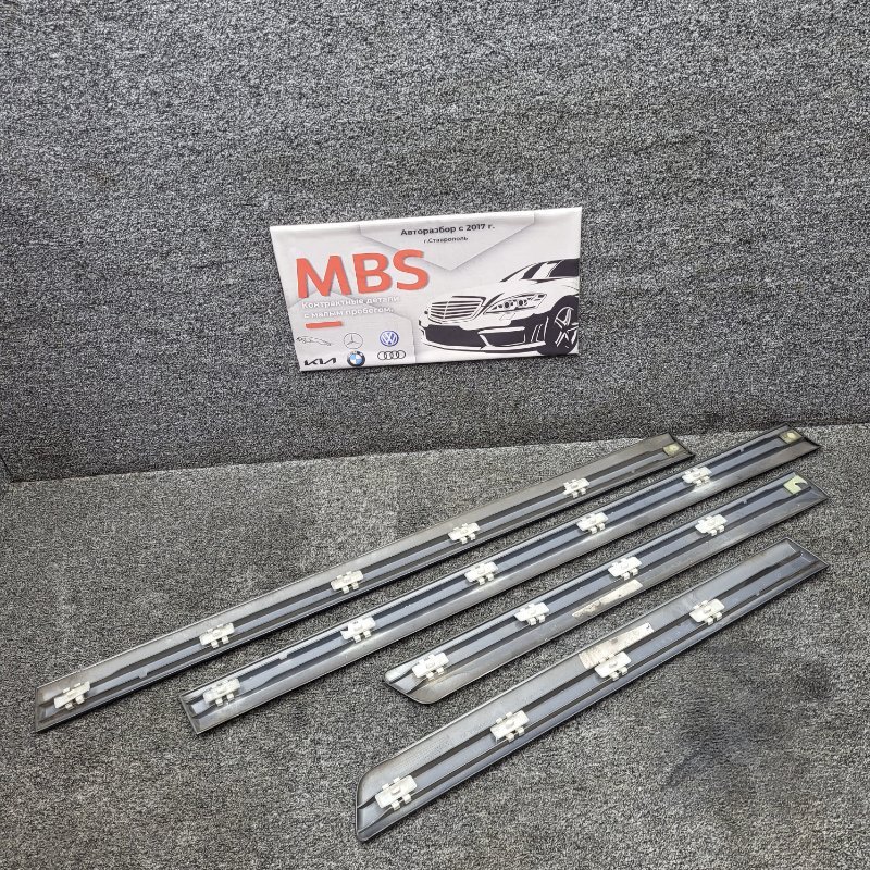 Молдинги дверей E 2001 w210 om611.961