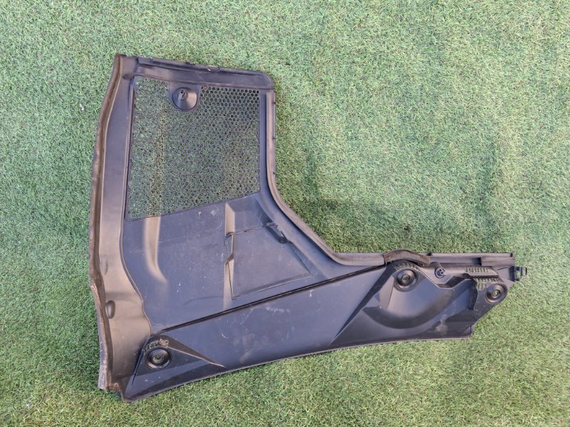 Жабо правое C-CLASS 2015 205.242 274920