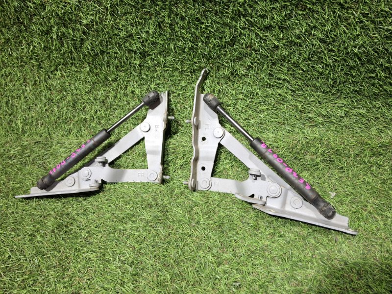 Амортизатор двери багажника RX-8 2004 SE3P 13B-MSP